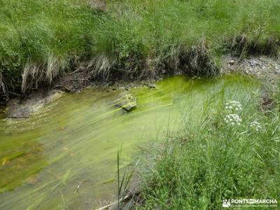 GastroRuta – Entre Vagonetas y Sabores: Descubriendo el Embalse del Vado; las majadas cuenca cercedi